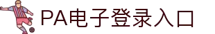 PA电子官网